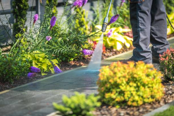 Best Brick and Stone Cleaning in Frederic, WI