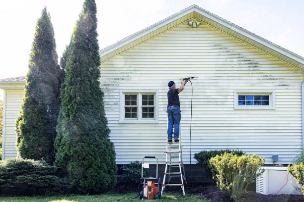 Best Driveway Cleaning and Restoration in Frederic, WI
